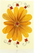 Grußkarte MANDALA aus Wildblumen